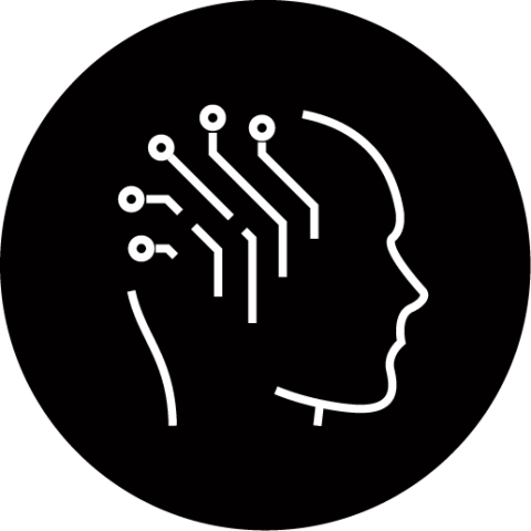 We are Innovative, Collaborative and Grounded in Data